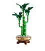 Botanical Collection Lucky Bamboo 10344