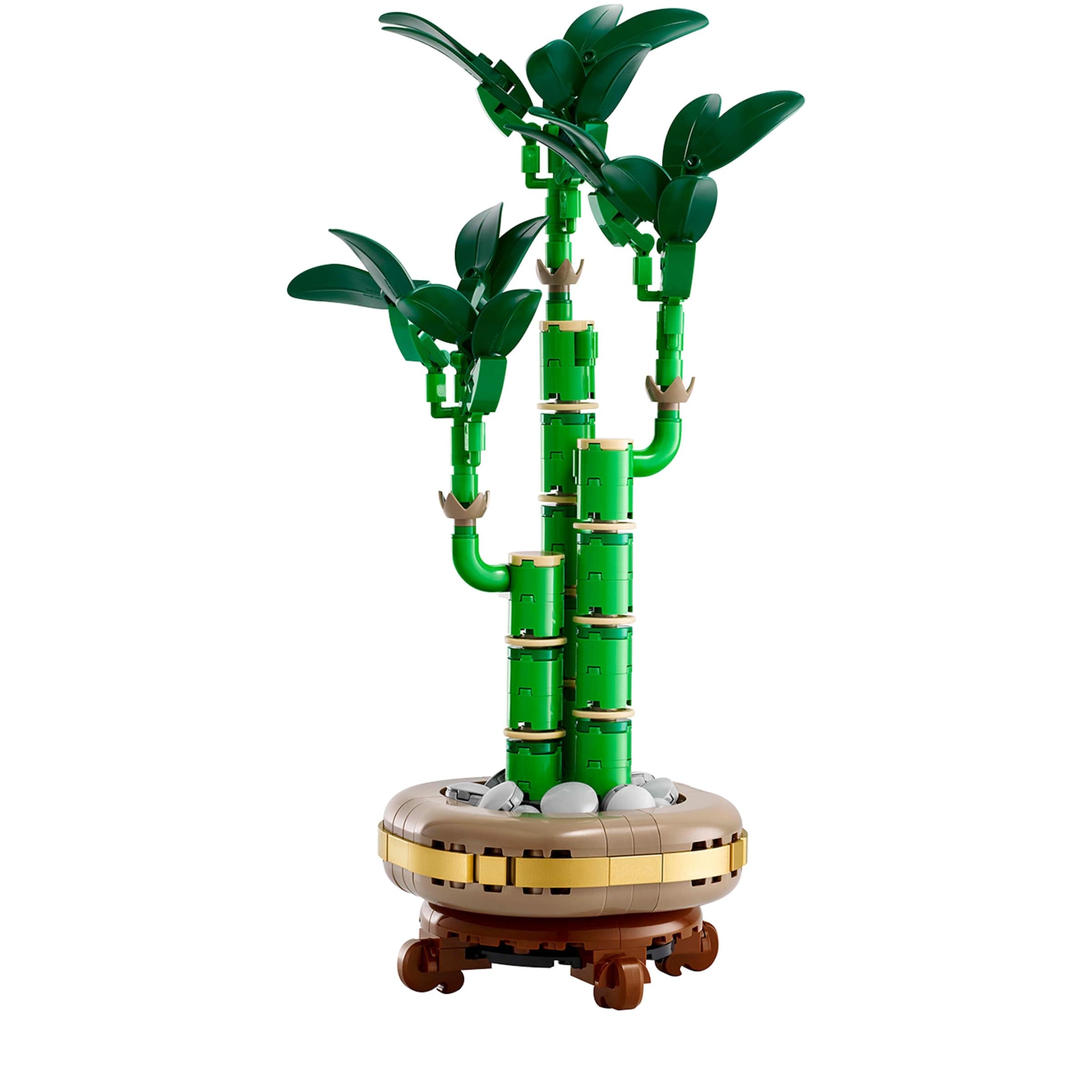 Botanical Collection Lucky Bamboo 10344