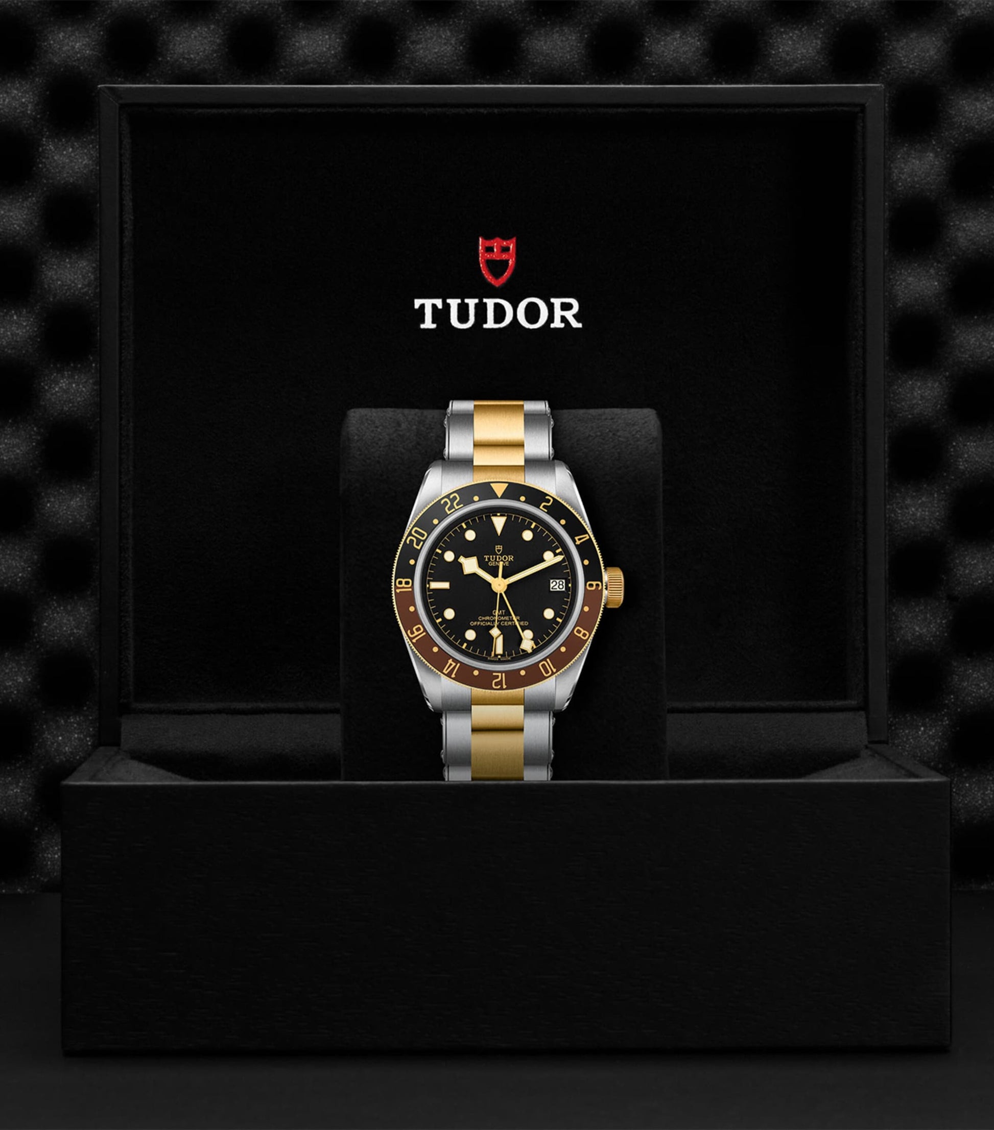 Black Bay GMT Stainless Steel and Yellow Gold Watch 41mm