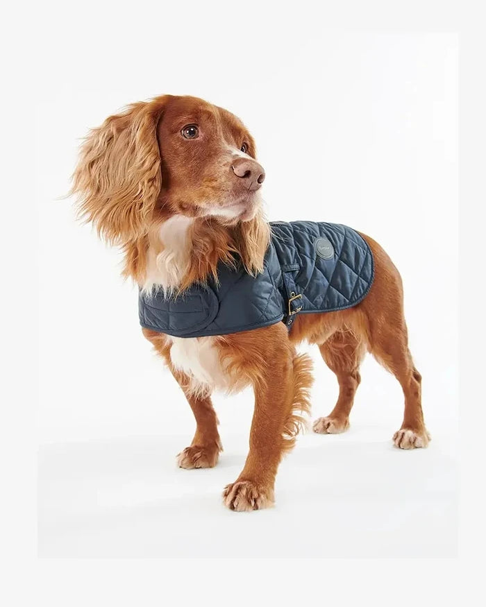 Barbour Köpek Montu