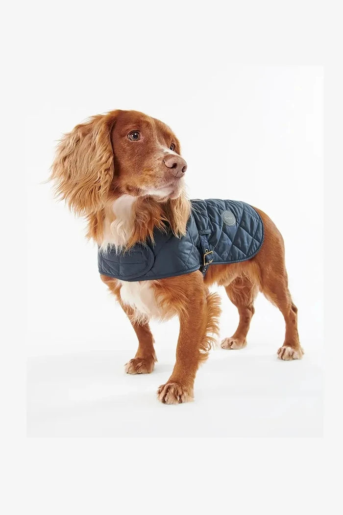 Кучешко палто Barbour