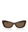 Dolce & Gabbana Brown Acetate DG4467B Sunglasses