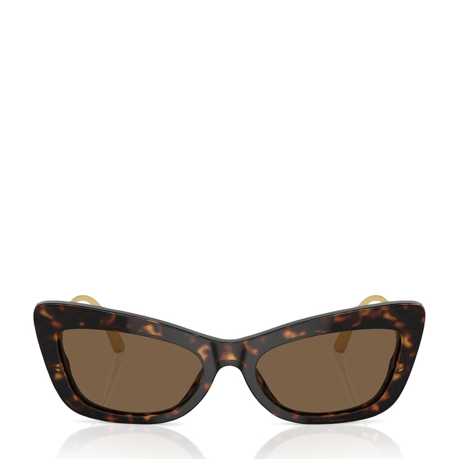 Dolce & Gabbana Brown Acetate DG4467B Sunglasses