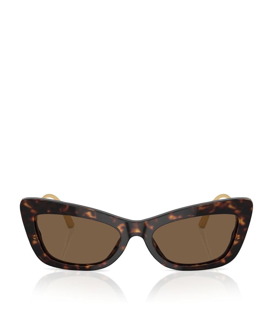 Dolce & Gabbana Brown Acetate DG4467B Sunglasses