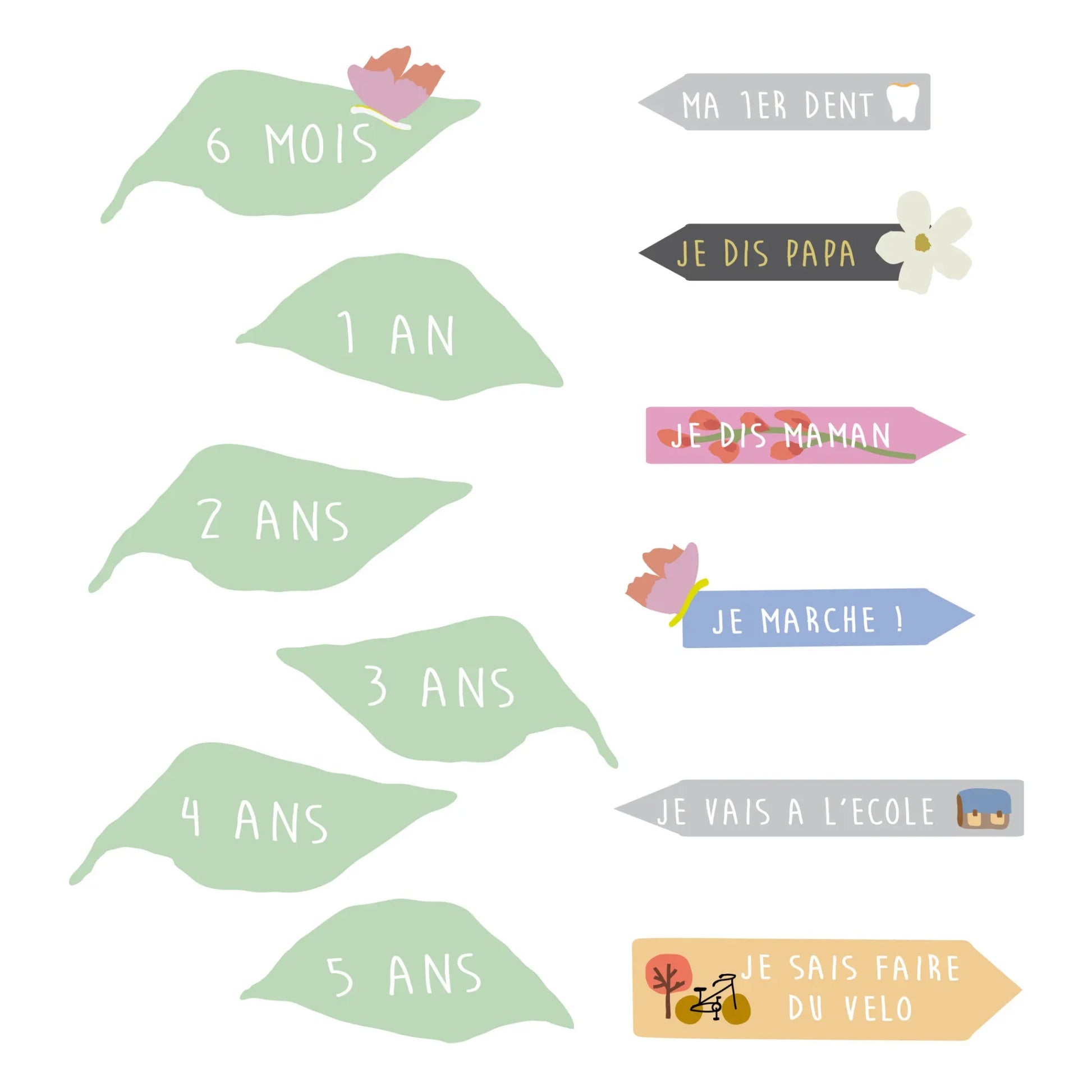 MIMI'lou - With The Birds Height Growth Chart - FR