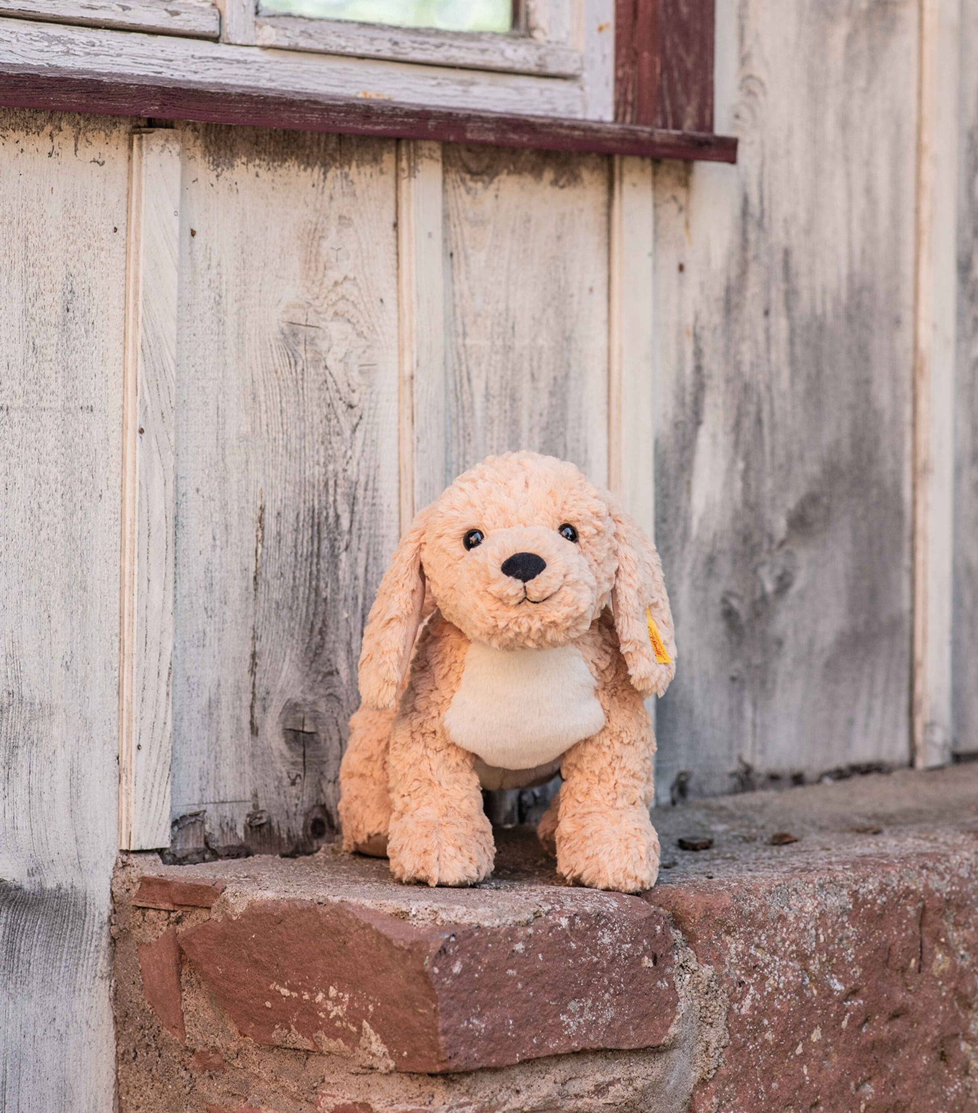 Berno Goldendoodle (36cm)