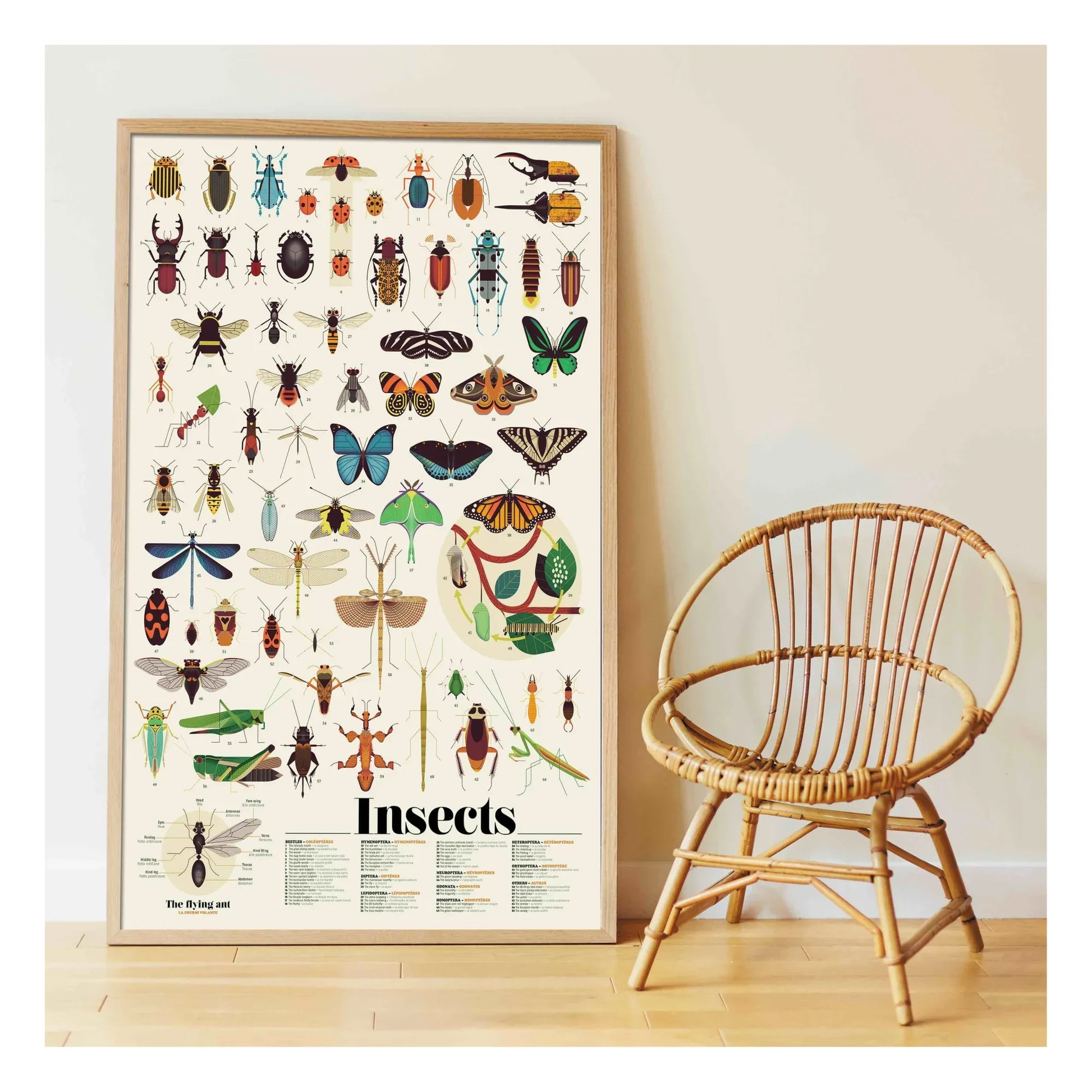 Poppik - Insects Sticker Poster