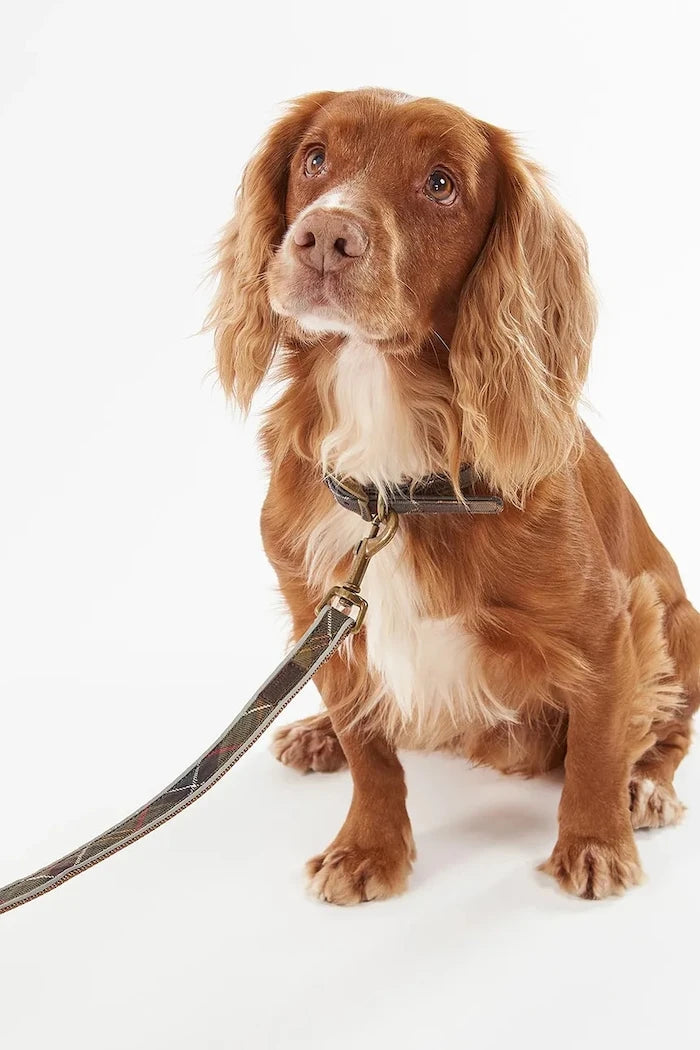 Повод за куче Barbour Reflective Tartan Dog 100 cm