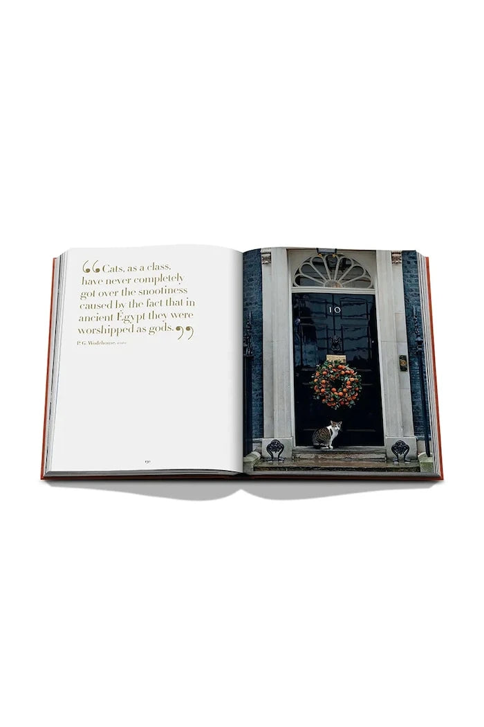 Assouline фото книга Chic Cats, Brett Martin