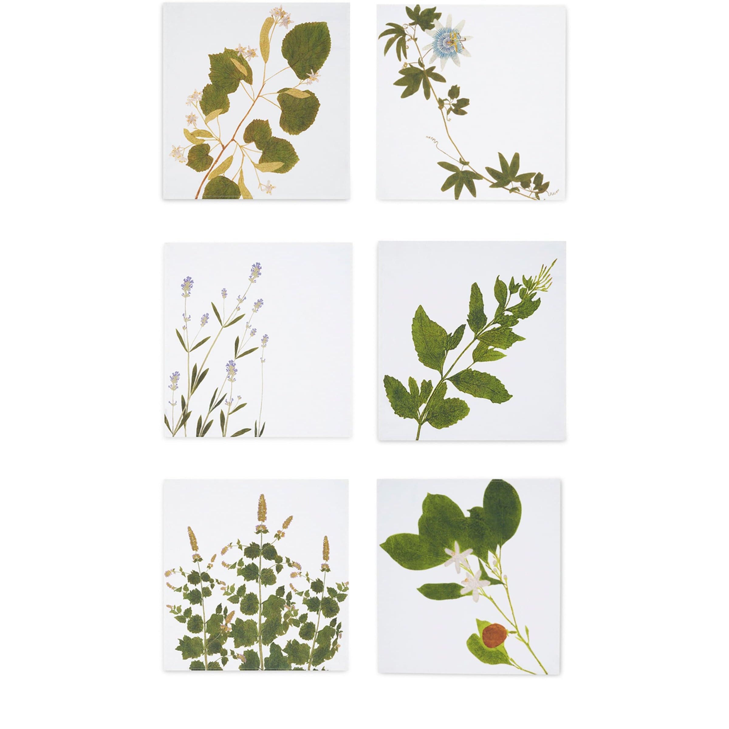 Summerill & Bishop Set of 6 Linen Tisane Herb Garden Napkins (50cm x 50cm)