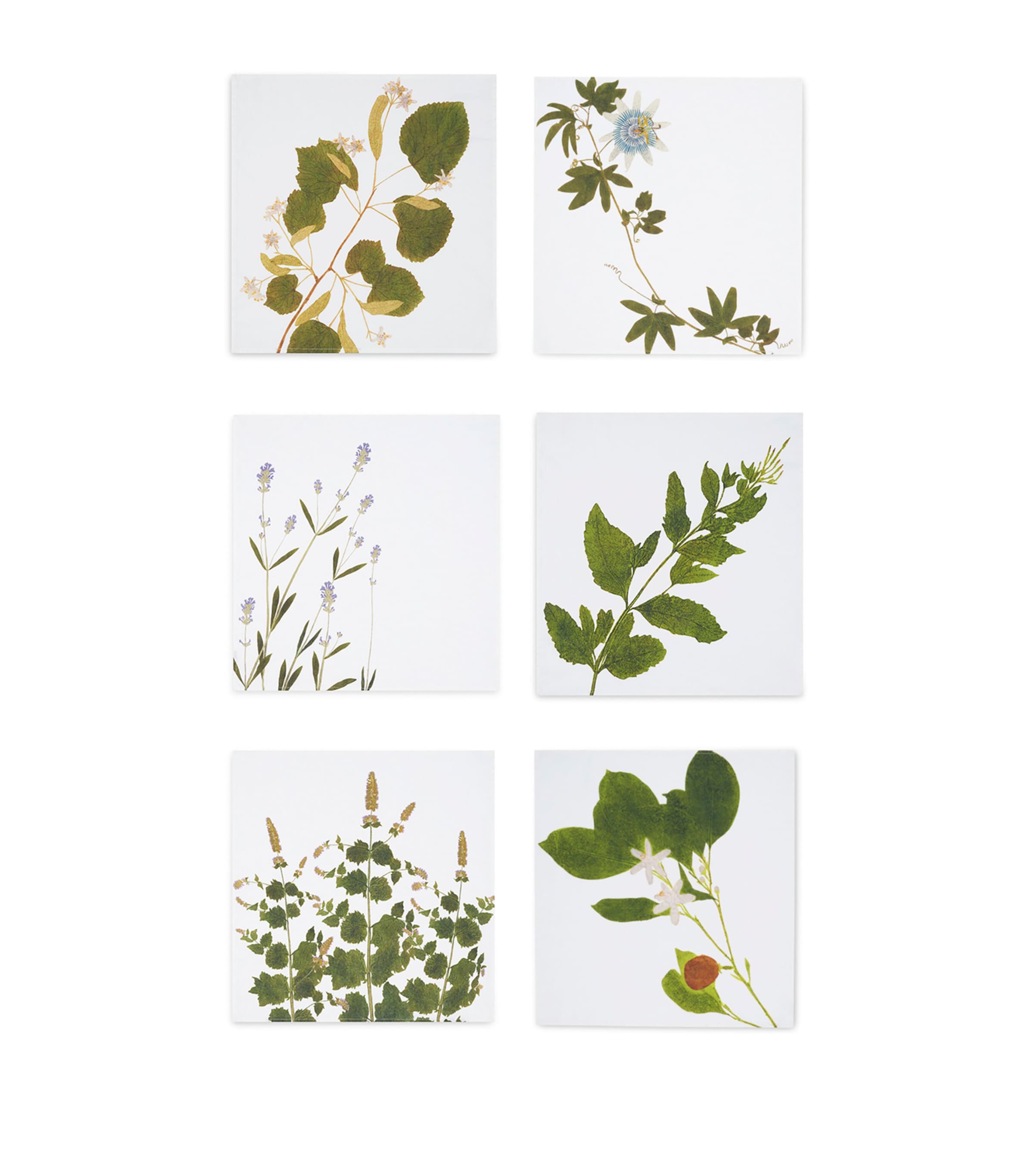 Summerill & Bishop Set of 6 Linen Tisane Herb Garden Napkins (50cm x 50cm)