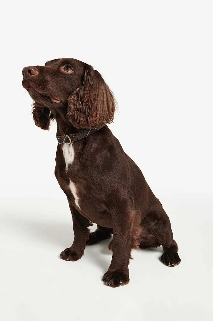 Нашийник за куче Barbour