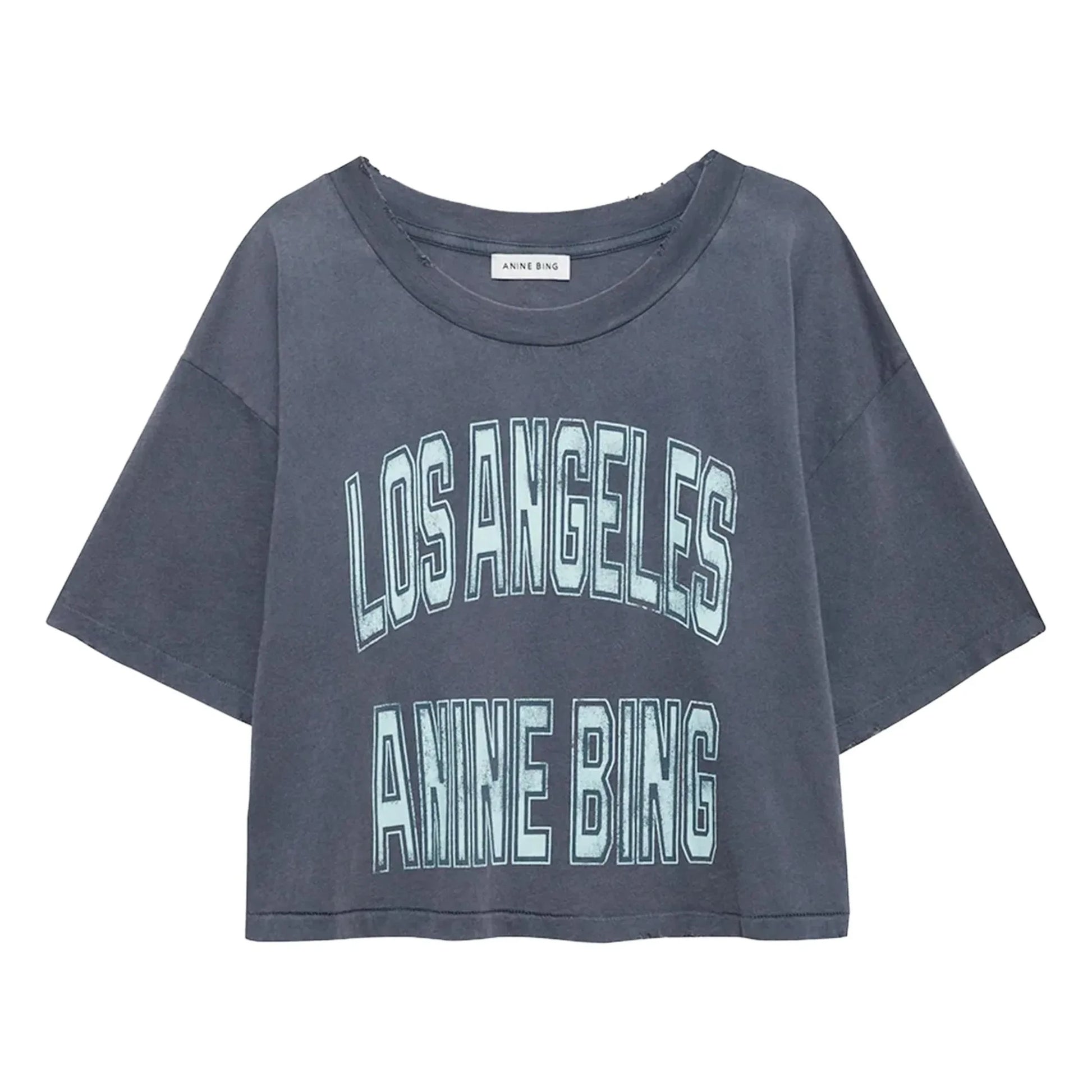 Anine Bing - Johnny T-shirt | Grey