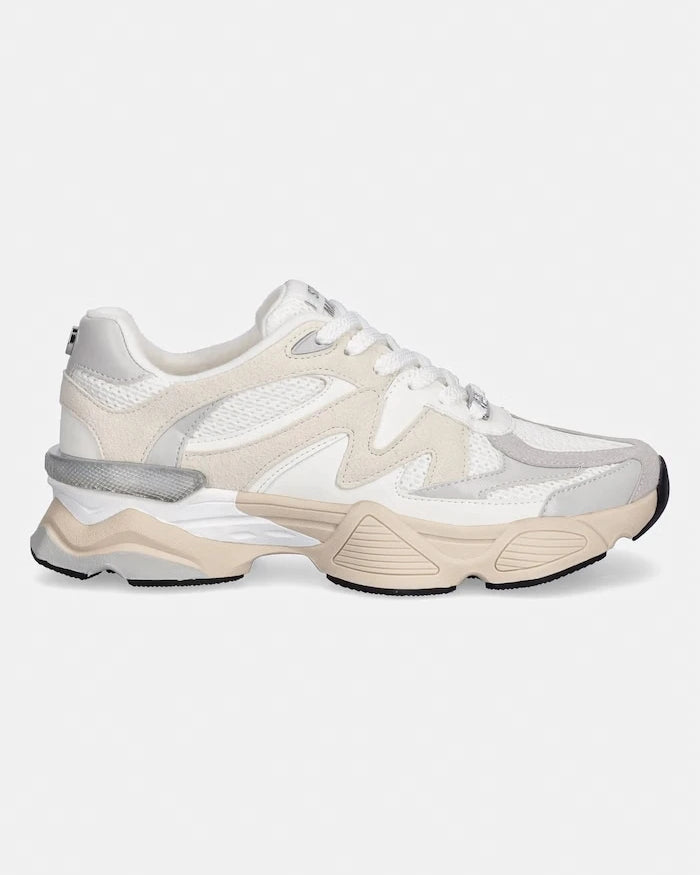 Steve Madden Speeder Sneakers