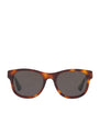 Gucci Acetate 0GC001651 Sunglasses
