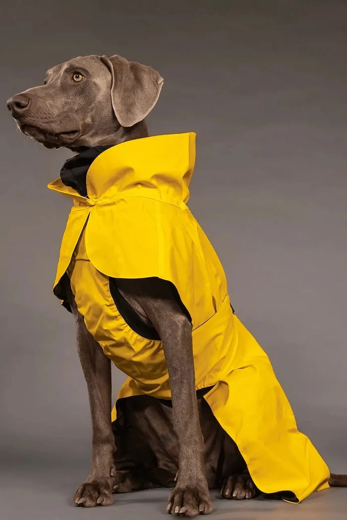 Кучешки дъждобран PAIKKA Visibility Raincoat 41 x 26 x 0,9 cm