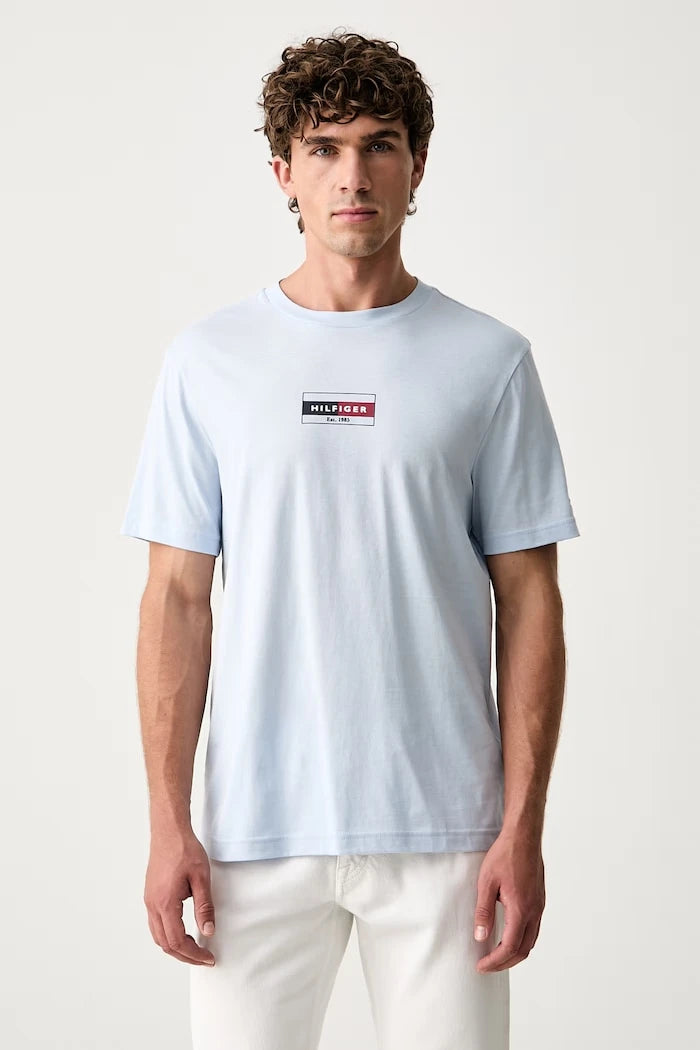 Tommy Hilfiger erkek pamuklu tişört