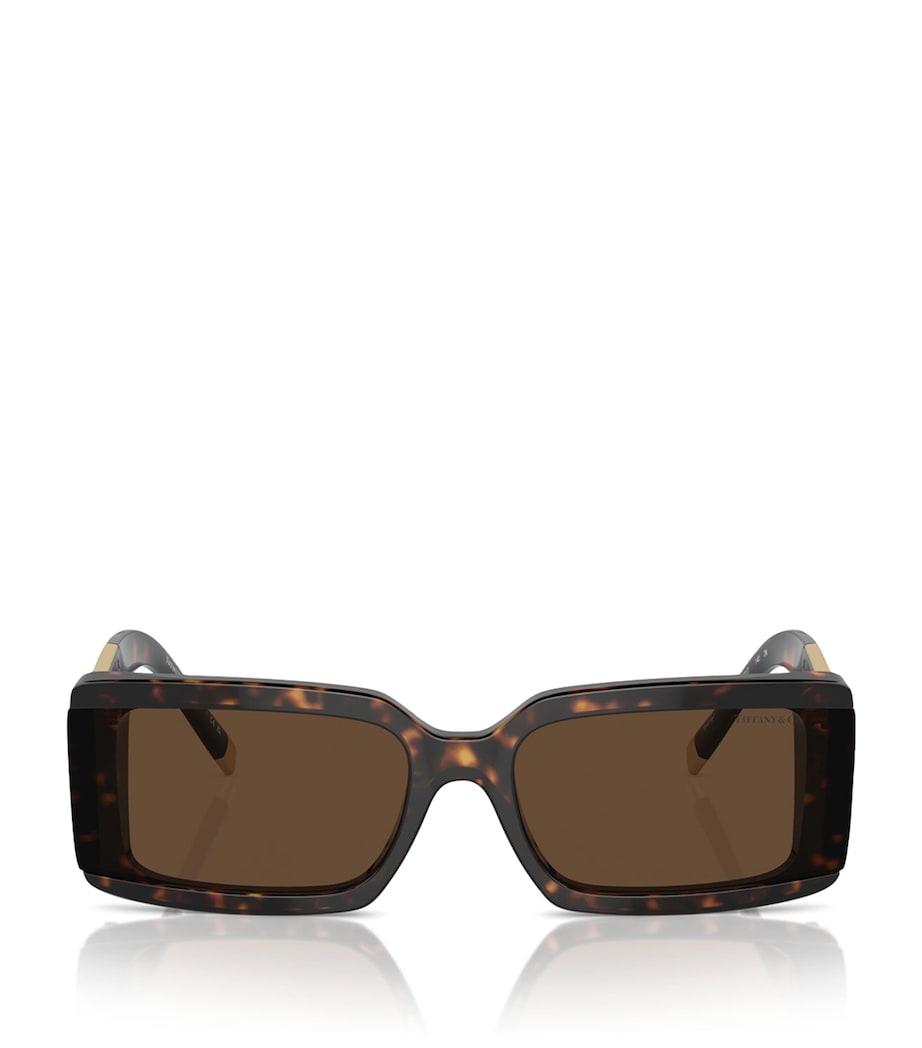 Tiffany & Co. Brown Acetate TF4197 Sunglasses