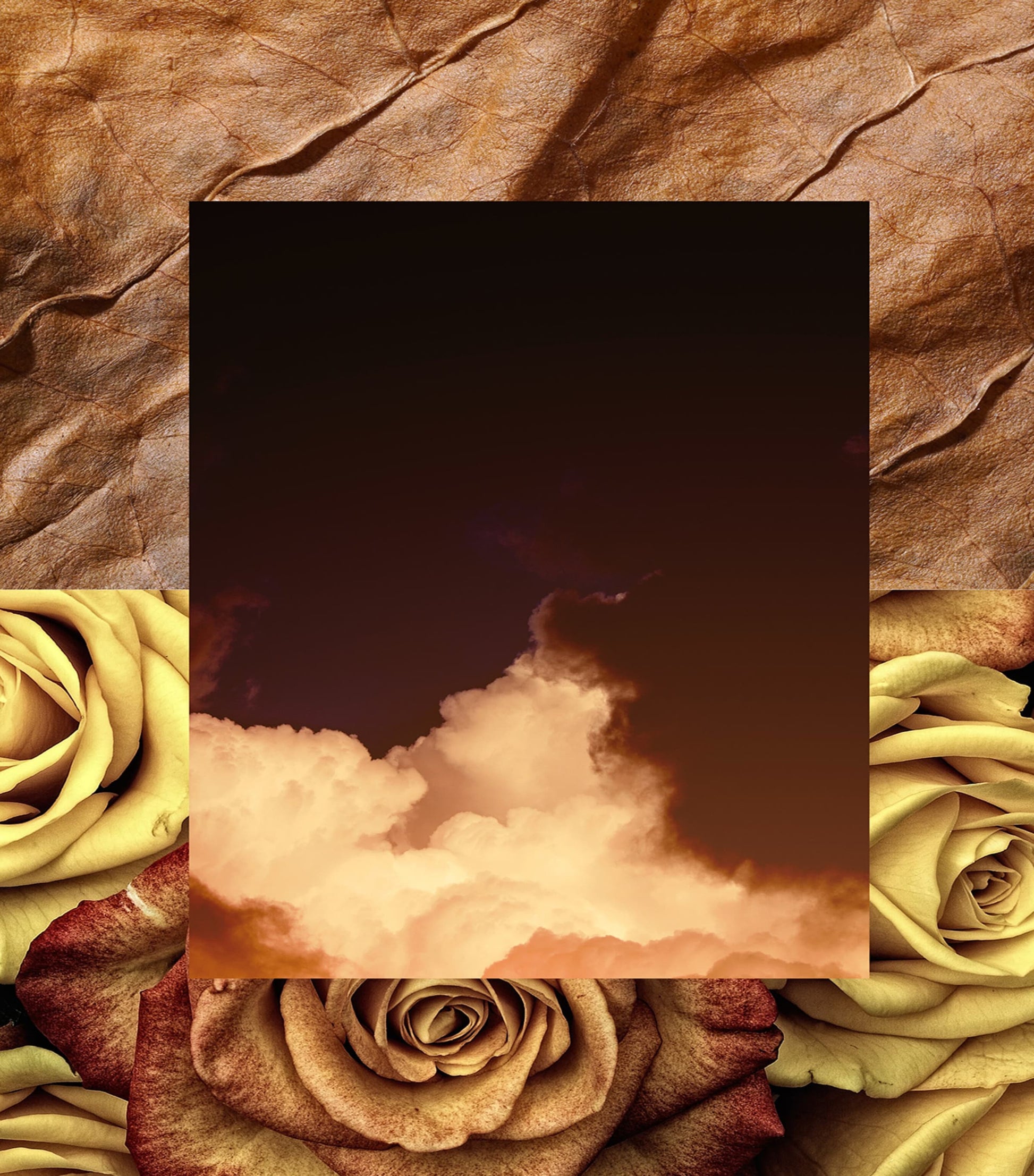 Orion Pure Perfume (50Ml)