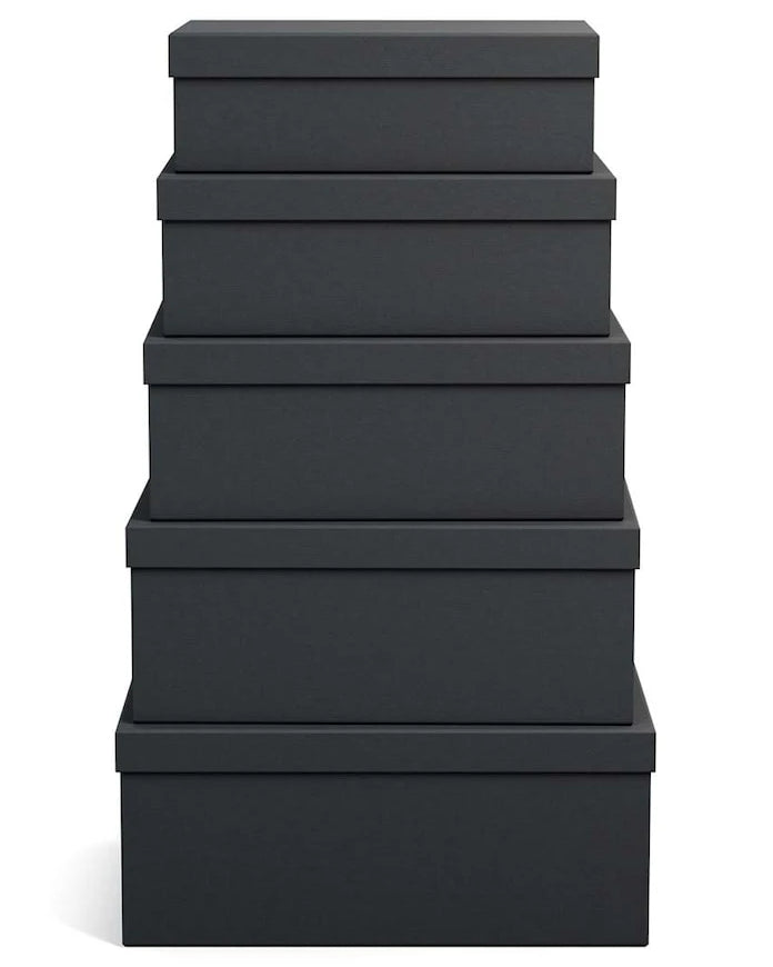 Bigso Box of Sweden Joel Saklama Kutusu Seti (5 Parça)