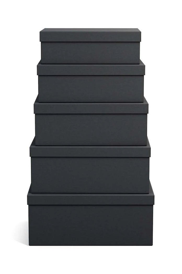 Bigso Box of Sweden Joel Saklama Kutusu Seti (5 Parça)