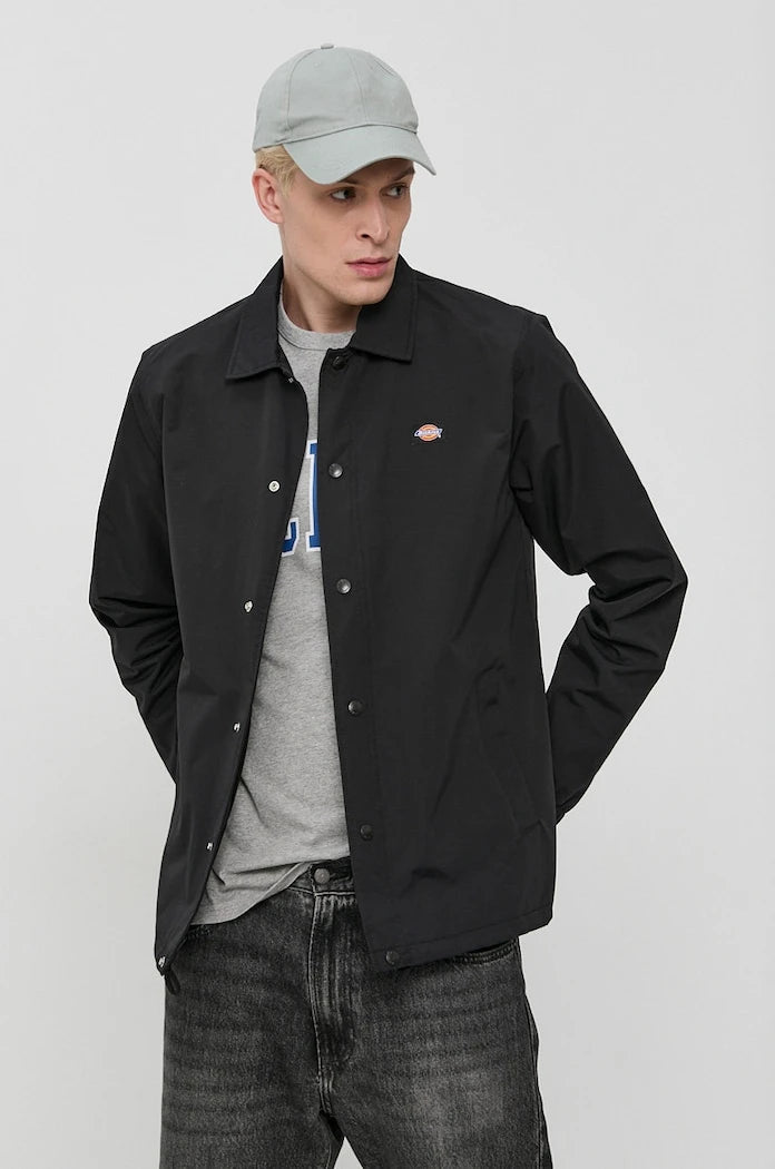 Яке Dickies