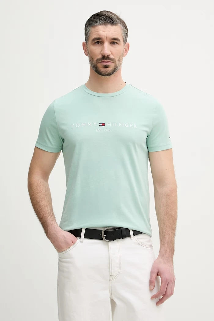Tommy Hilfiger erkek pamuklu tişört