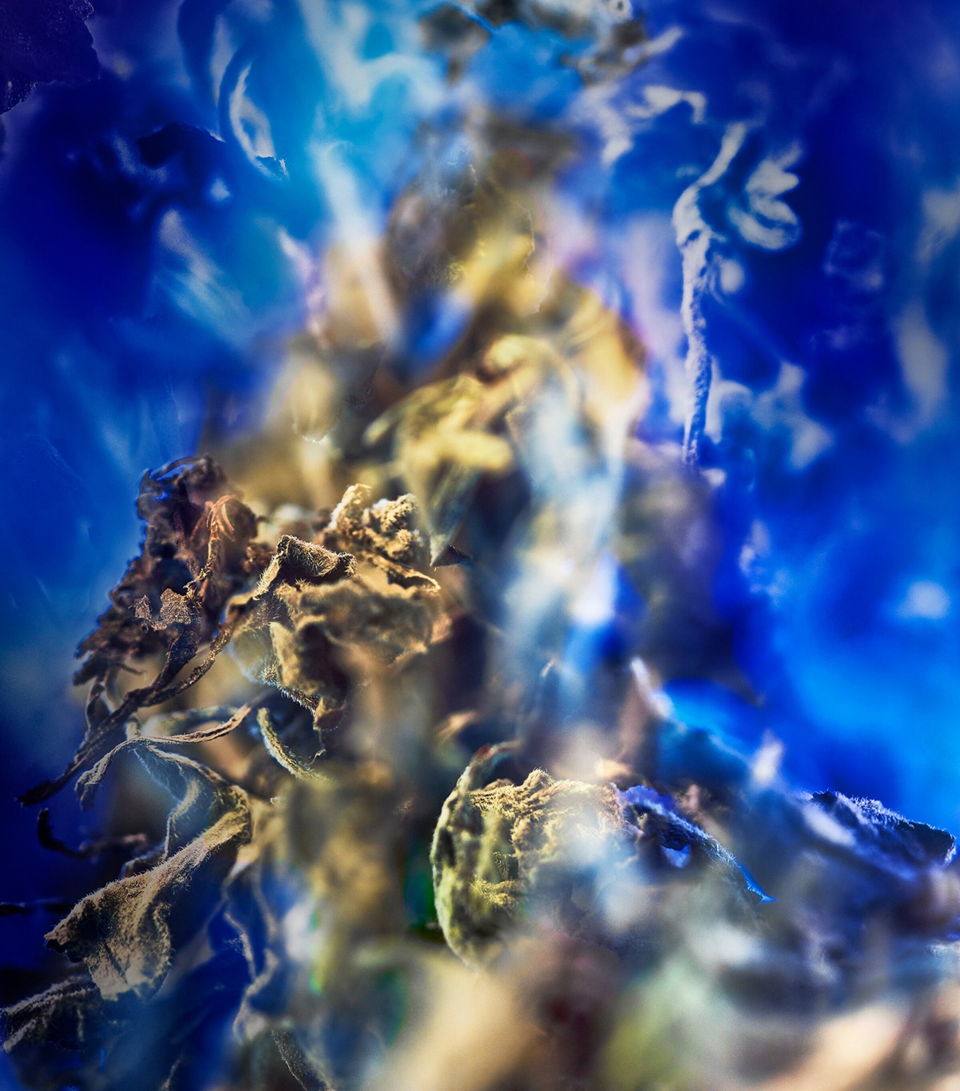 Le Gemme Gyan Eau de Parfum (60ml)