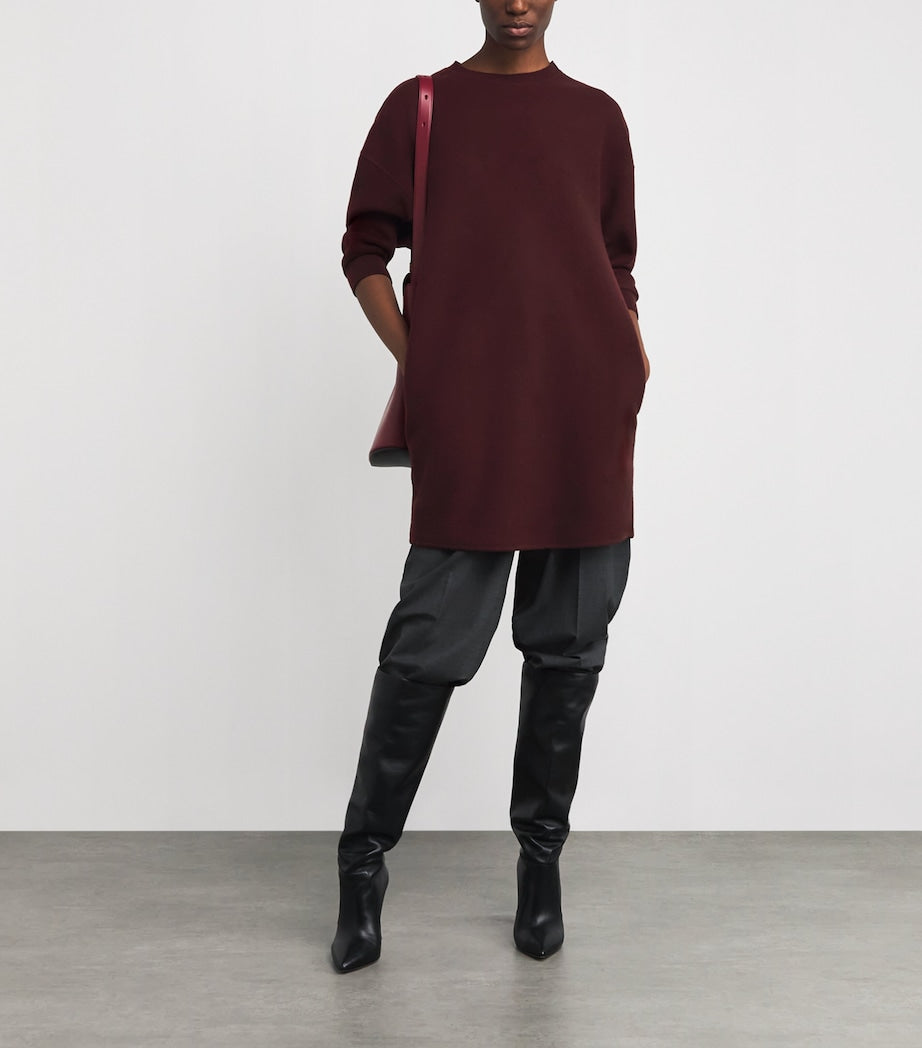 Max Mara Wool-Blend Jersey Mini Dress
