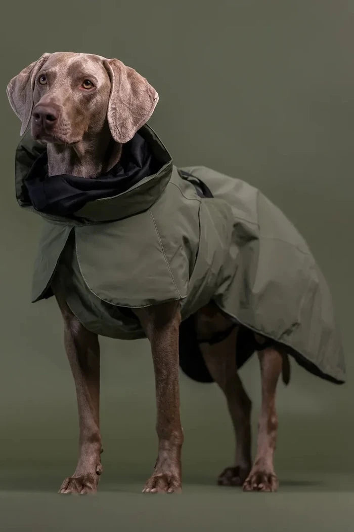 Зимно палто за куче PAIKKA Visibility Winter Jacket 45 x 40 x 2,1 cm