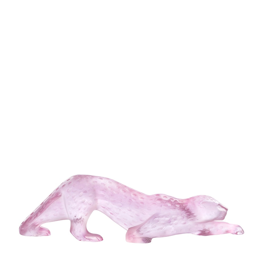 Large Rose Nebula Zeila Panther