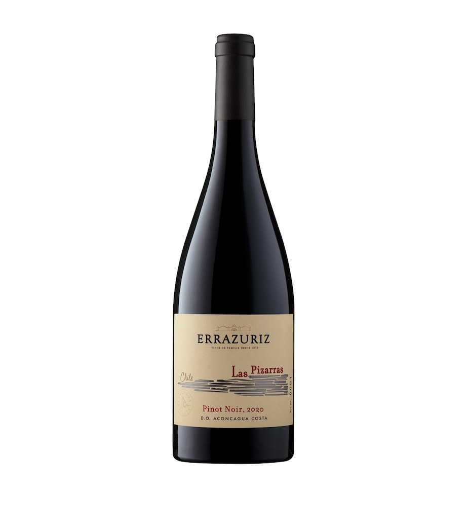 Errazuriz Las Pizarras Pinot Noir 2020 (75cl) - Aconcagua Valley, Chile