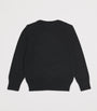 Ralph Lauren Kids Cotton Sledge Polo Bear Sweater (2-7 Years)