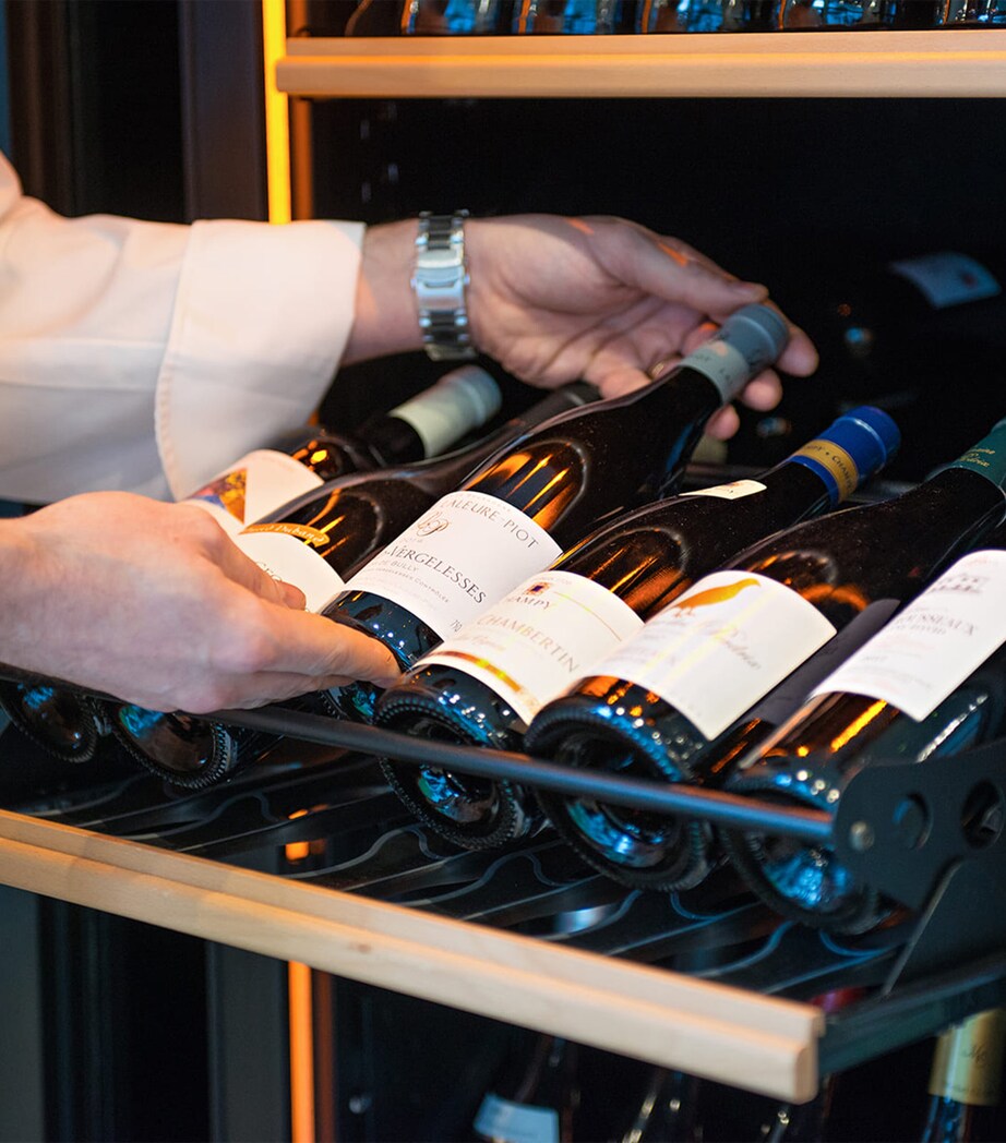 Small Single-Temperature Free-Standing Pure Wine Cabinet