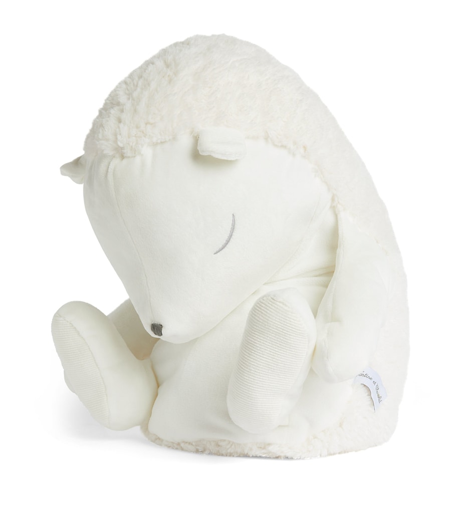 Leon The Hedgehog (60cm)