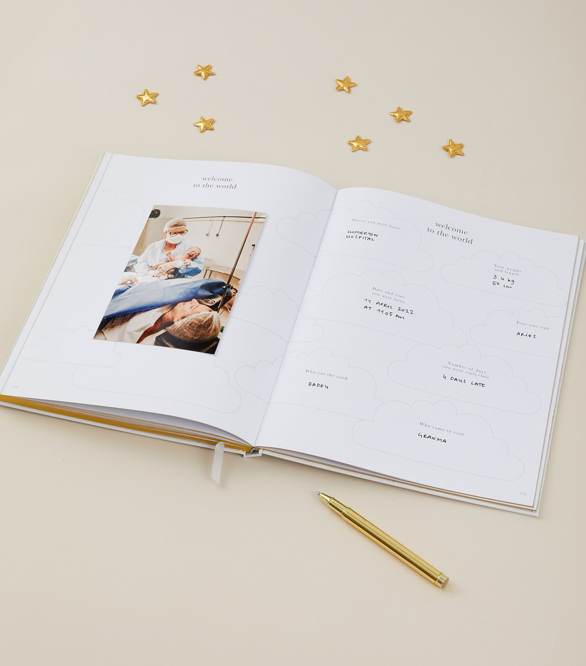 Blush and Gold My Pregnancy Journal