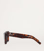 Brown Acetate SL 657 Sunglasses