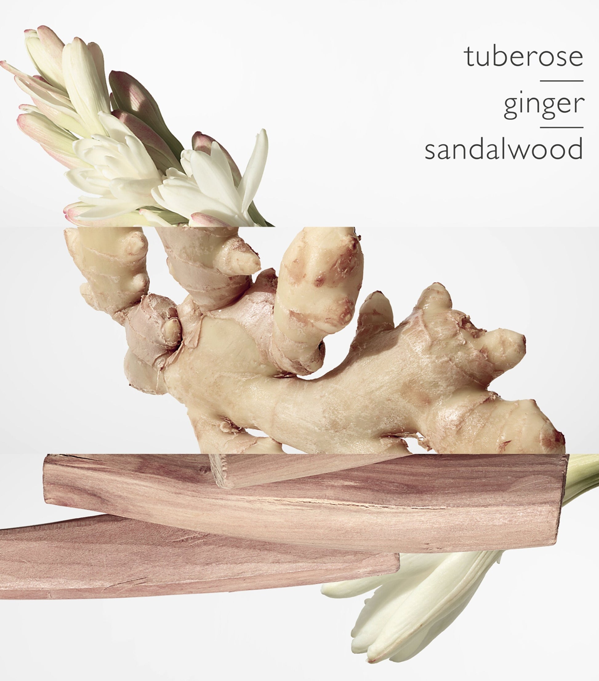 HERMÈS Twilly d'Hermès Eau de Parfum (50ml)