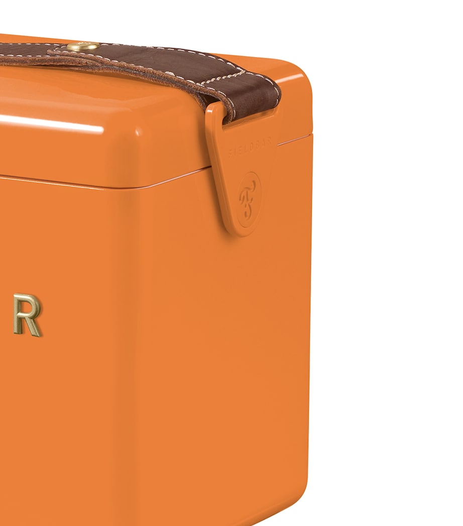 Mini Bar Cooler Box with Leather Sling (4L)