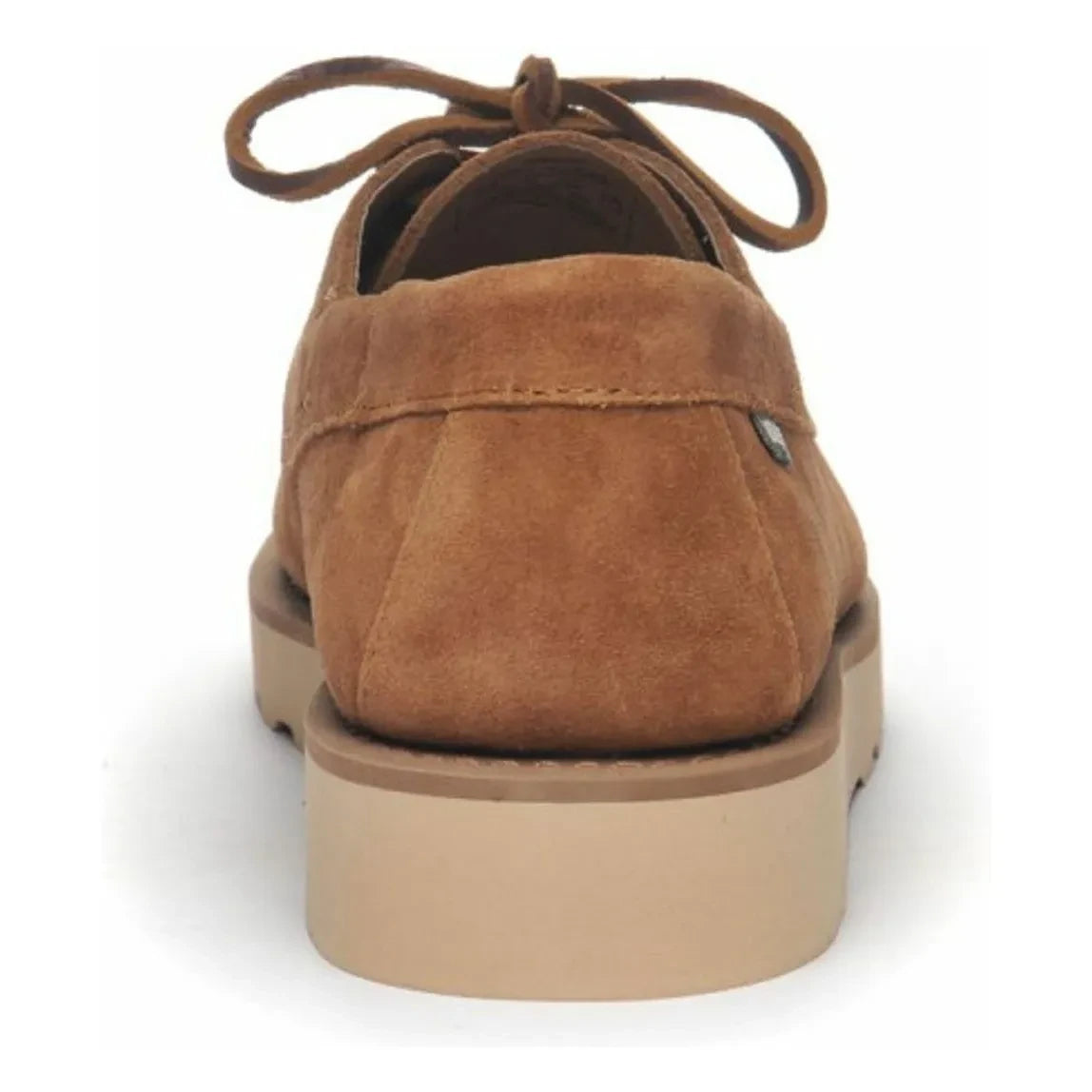 Sebago - Askookfield Oled Suede loafers | Mocha