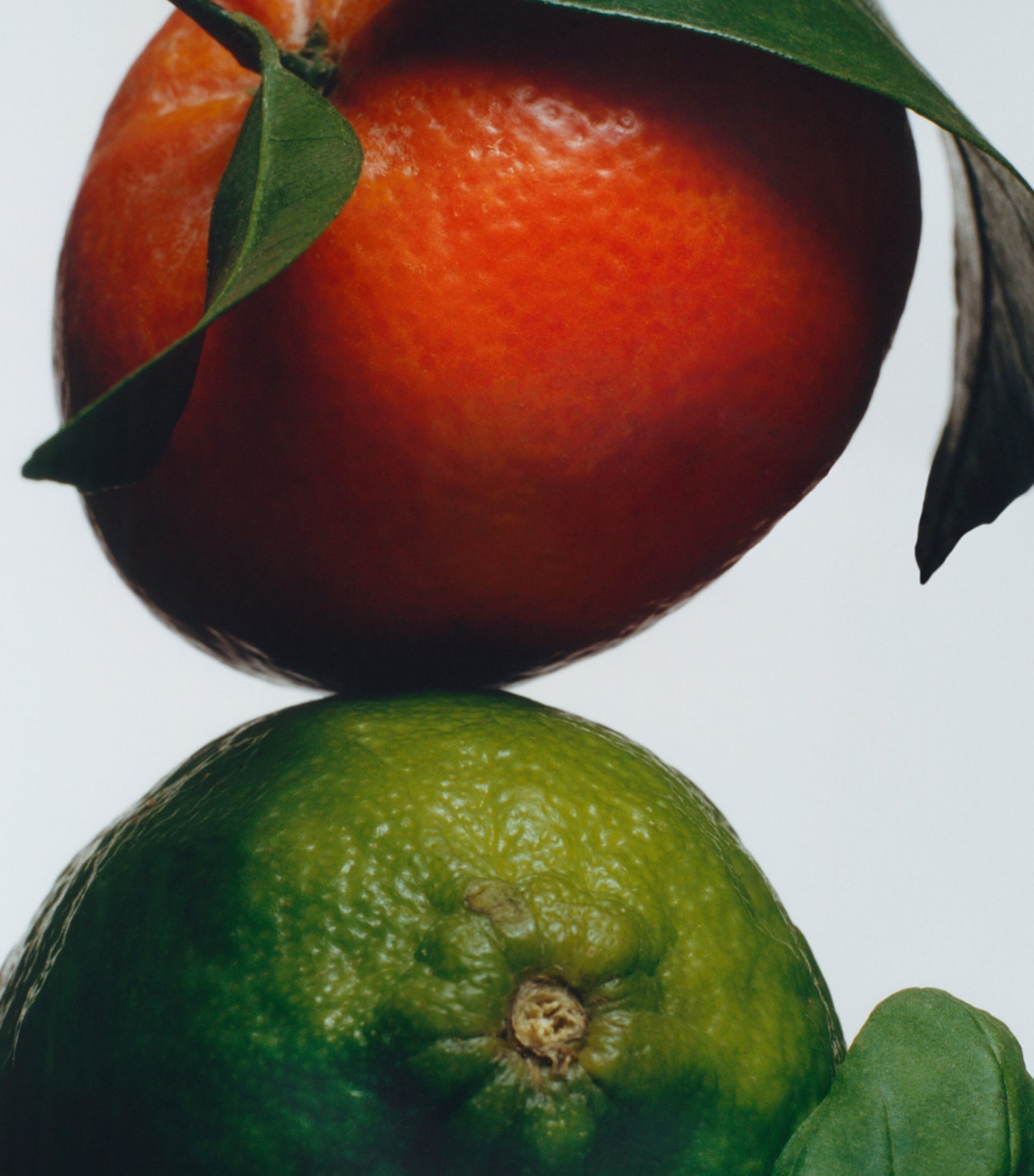 Lime Basil & Mandarin Scent Surround Diffuser