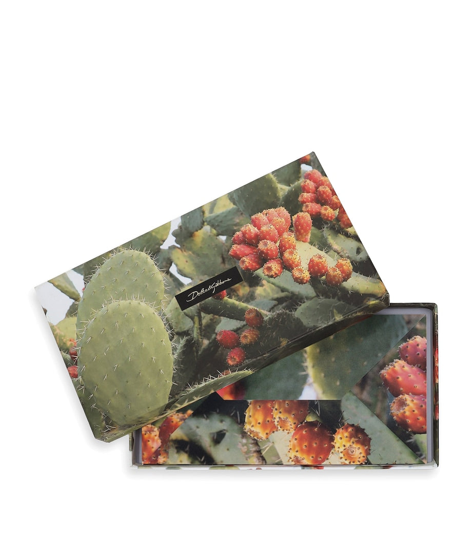 Dolce & Gabbana Casa Set of 5 Greeting Cards