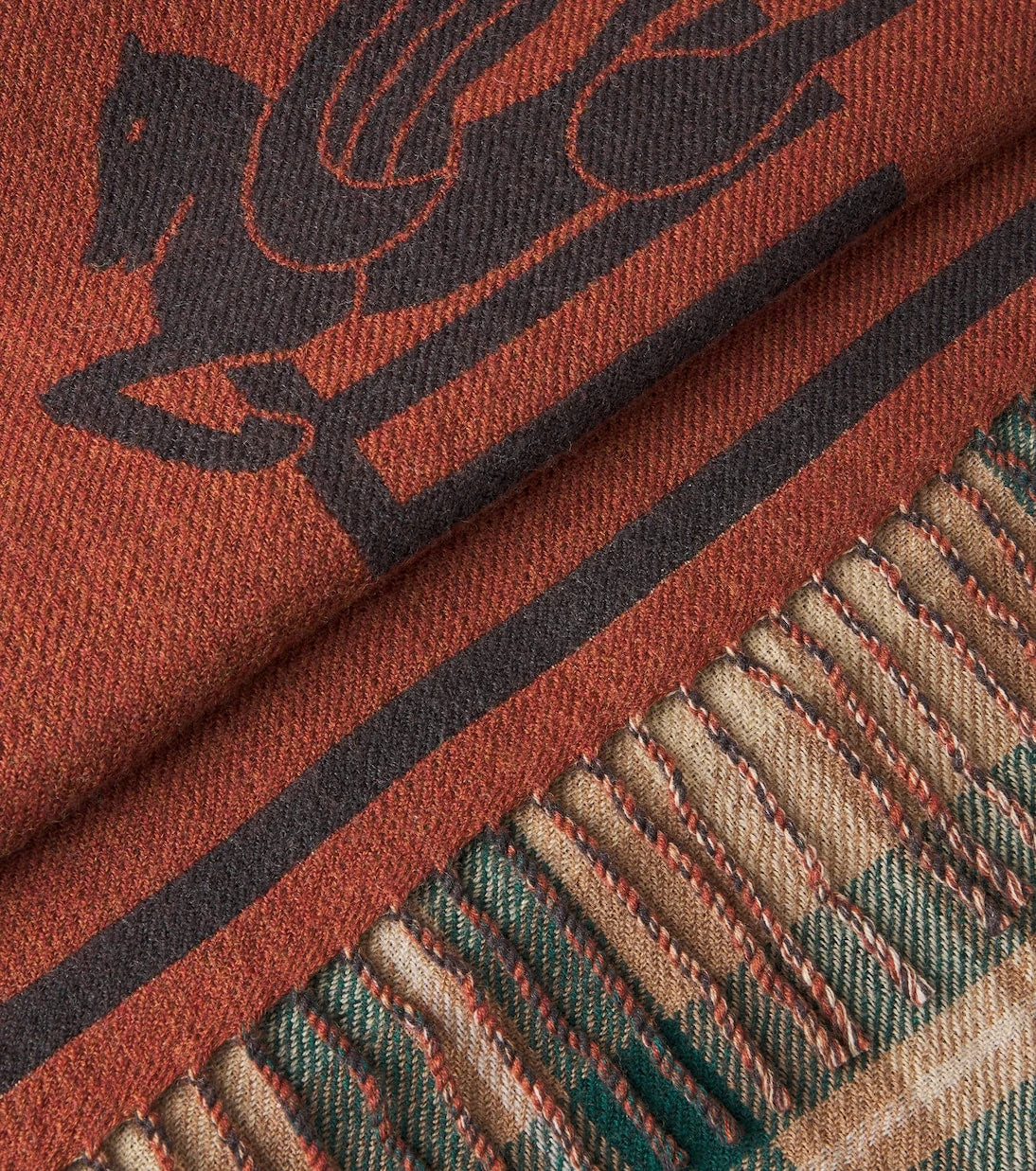Etro - Boyd wool throw