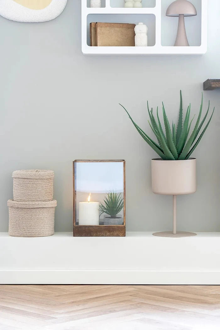 House Nordic Aloe Vera Yapay Saksı Bitkisi