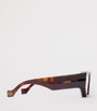 LOEWE Brown x Paula's Ibiza Front Lenses Cat Eye Sunglasses