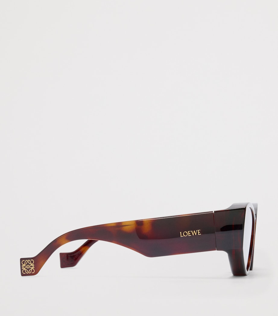 LOEWE Brown x Paula's Ibiza Front Lenses Cat Eye Sunglasses