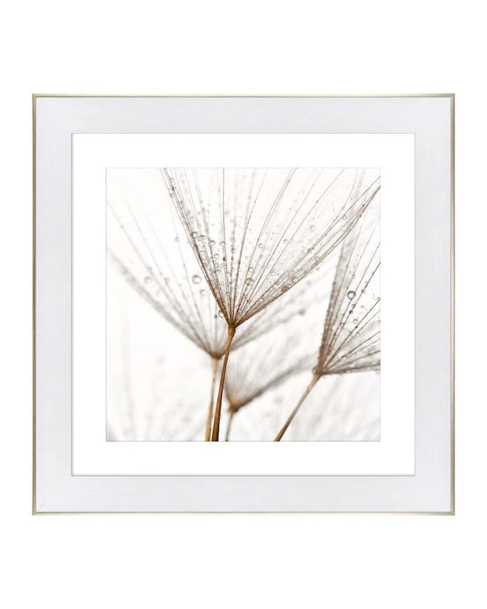 Репродукция върху хартия в рамка 50x50 cm