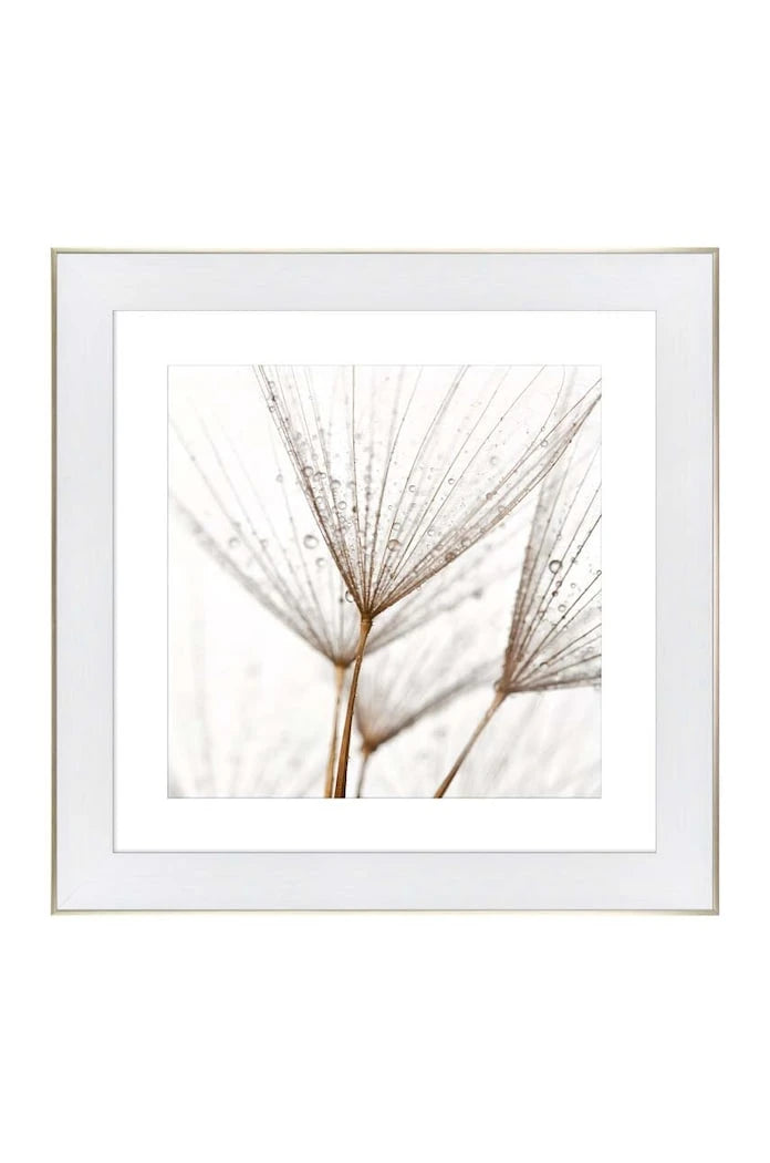 Репродукция върху хартия в рамка 50x50 cm