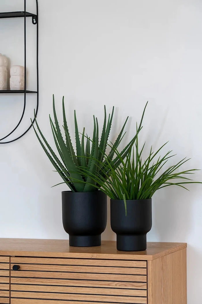 House Nordic Aloe Vera Yapay Saksı Bitkisi