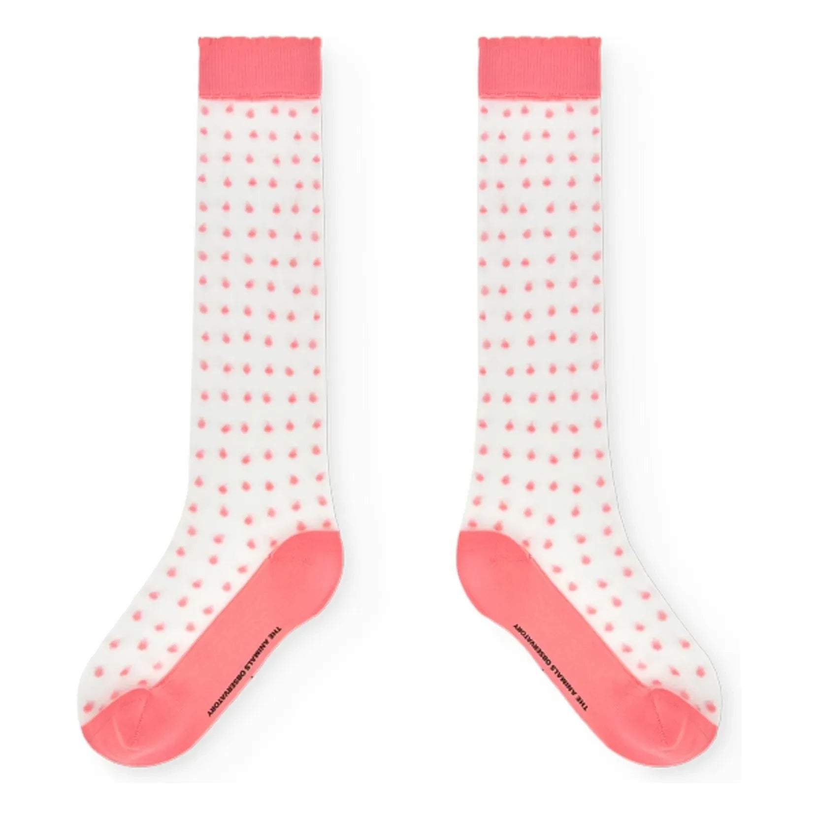 The Animals Observatory - Hen socks | Pink